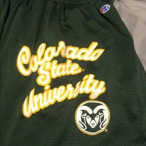 Colorado state shorts